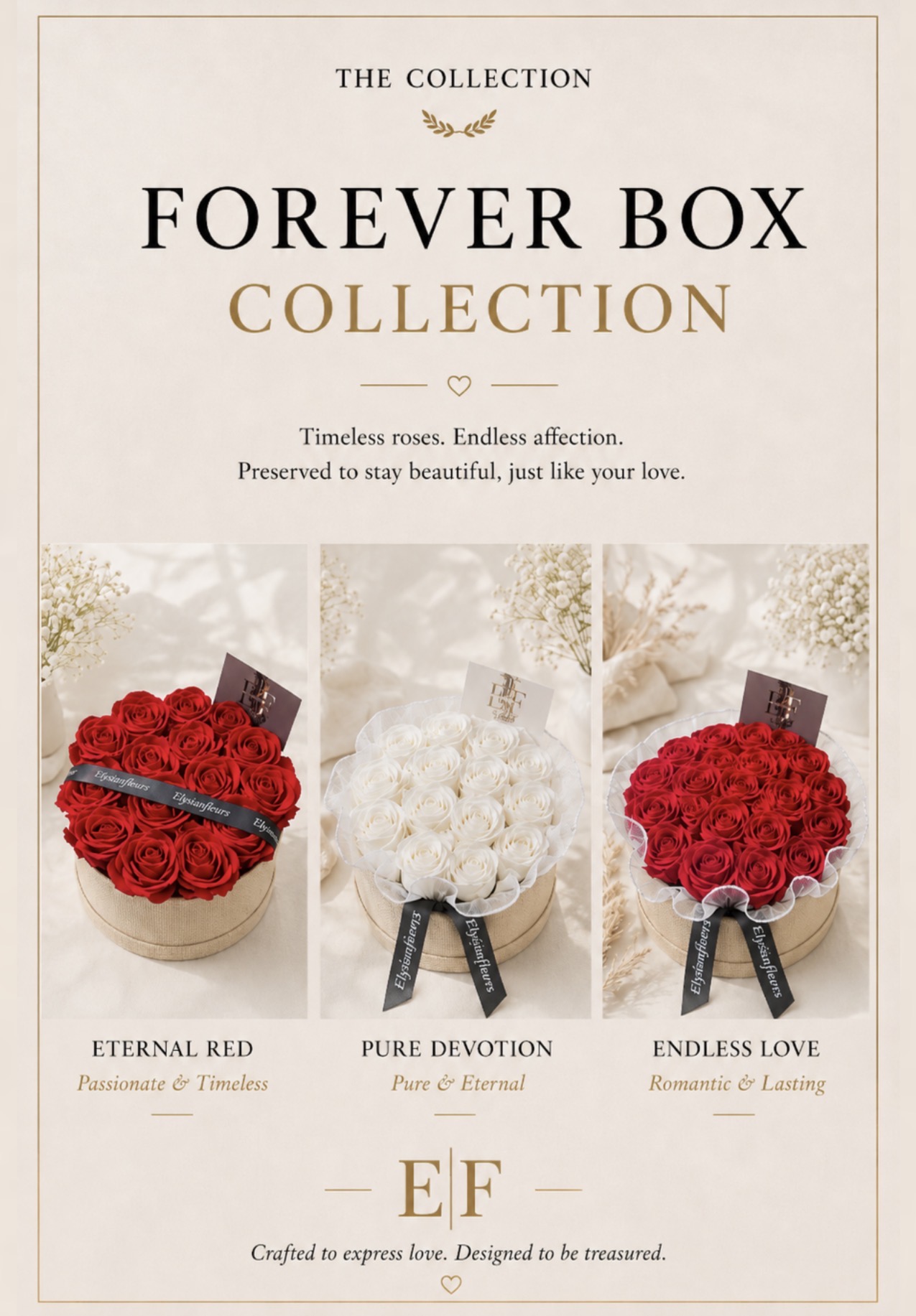 Forever Box Collection